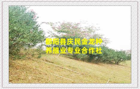 鄱阳县庆民金龙种养殖业专业合作社