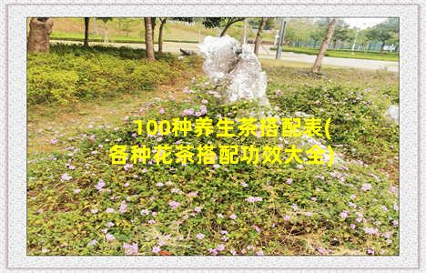 100种养生茶搭配表(各种花茶搭配功效大全)