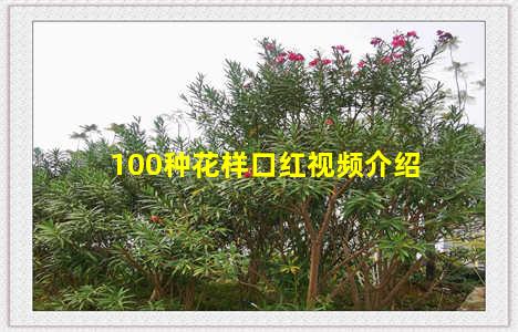 100种花样口红视频介绍