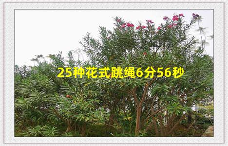 25种花式跳绳6分56秒