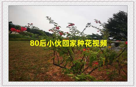 80后小伙回家种花视频