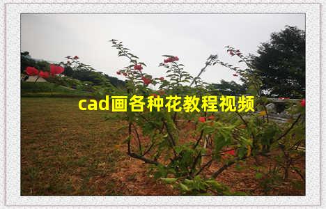 cad画各种花教程视频