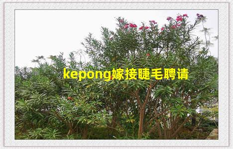 kepong嫁接睫毛聘请