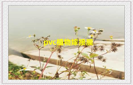 pvc植物嫁接膜