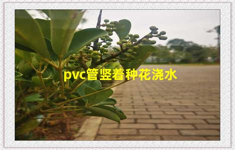 pvc管竖着种花浇水