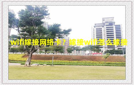 wifi嫁接网络卡？嫁接wifi怎么嫁接