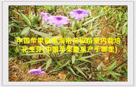 中国苹果最早海南花椒苗室内栽培花生芽(中国苹果最早产于哪里)