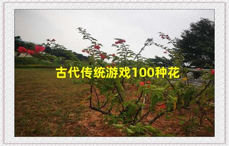 古代传统游戏100种花