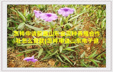 怎样申请前源山东金茂种养殖合作社怎么贷款(怎样申请山东电子健康码)