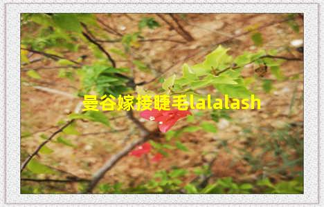 曼谷嫁接睫毛lalalash