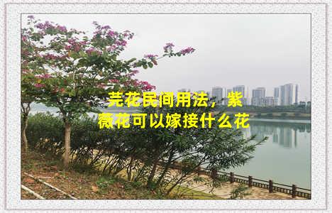 芫花民间用法，紫薇花可以嫁接什么花