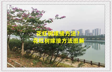 花红树嫁接方法？花红树嫁接方法图解