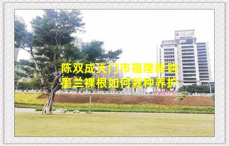 陈双成天门市福隆新购墨兰裸根如何栽种养护